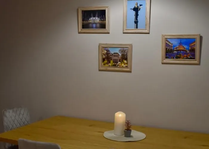 The Corner * 索菲亞